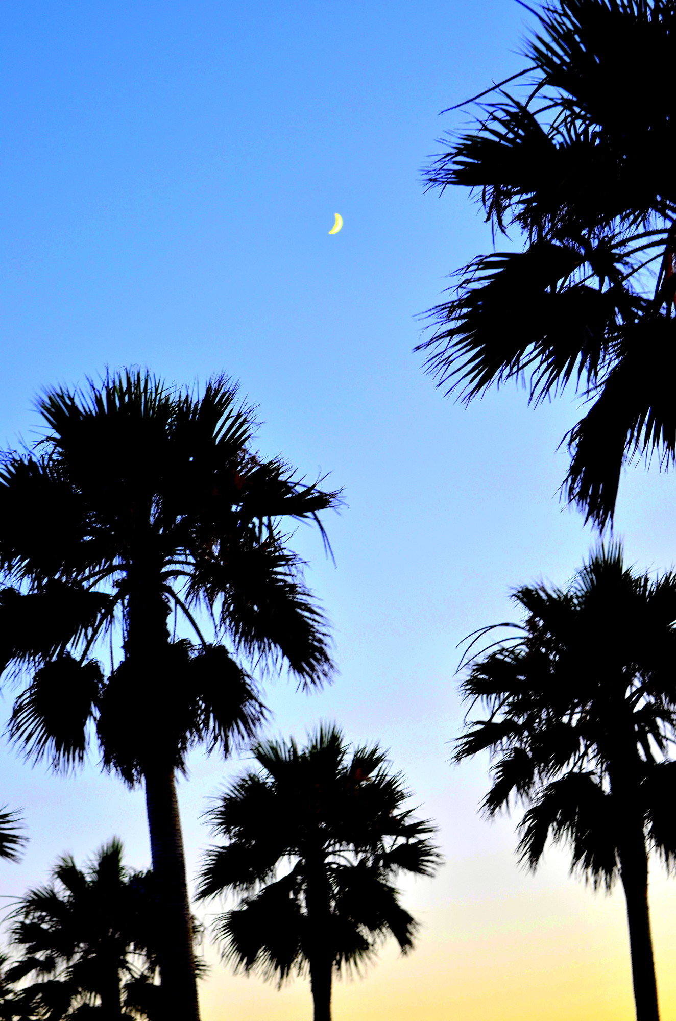 moon in spain