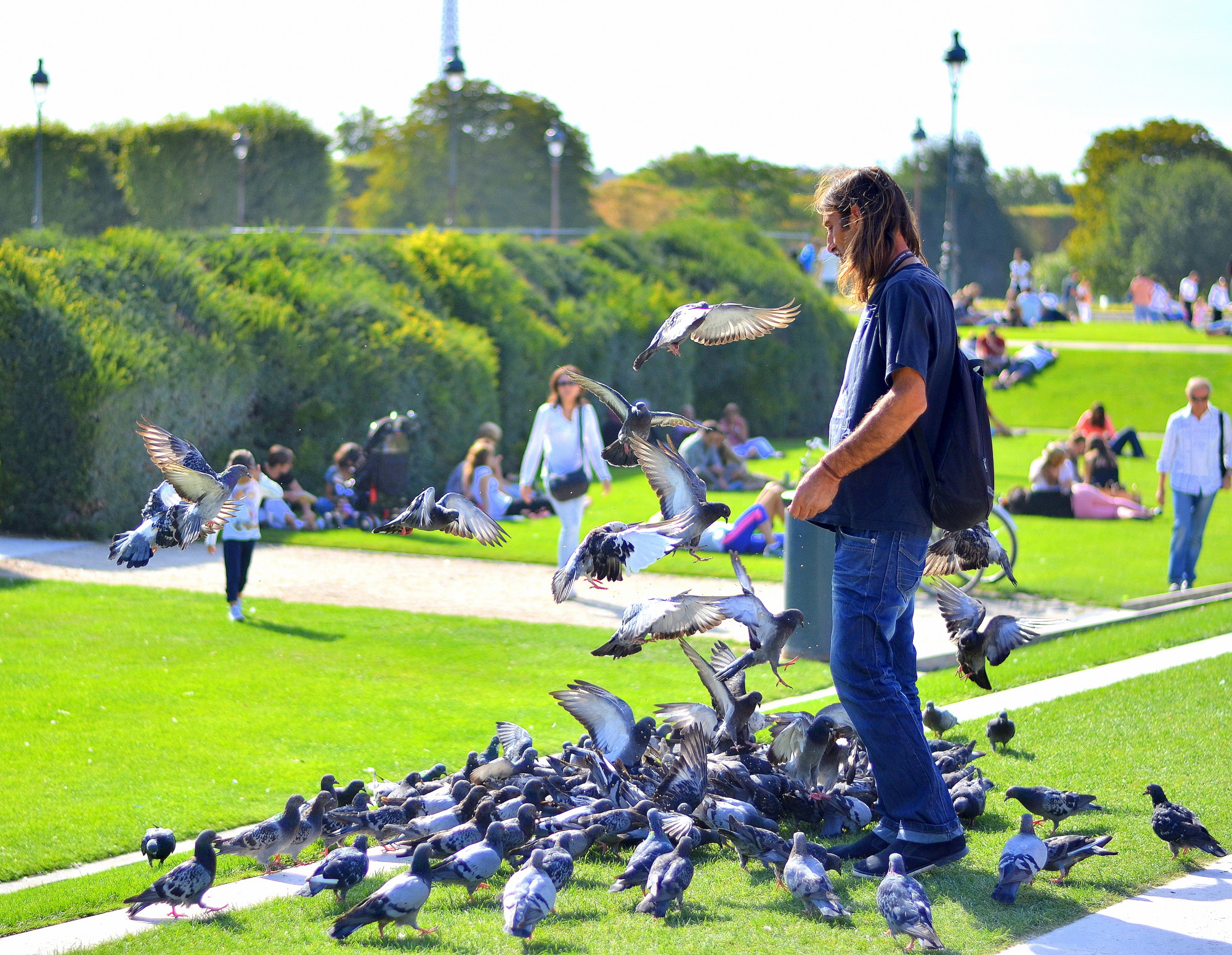 Birds in Jardin Des Tuileries